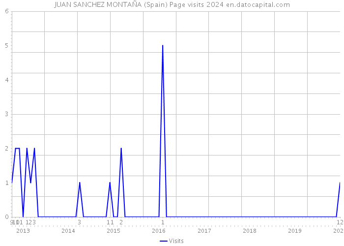 JUAN SANCHEZ MONTAÑA (Spain) Page visits 2024 