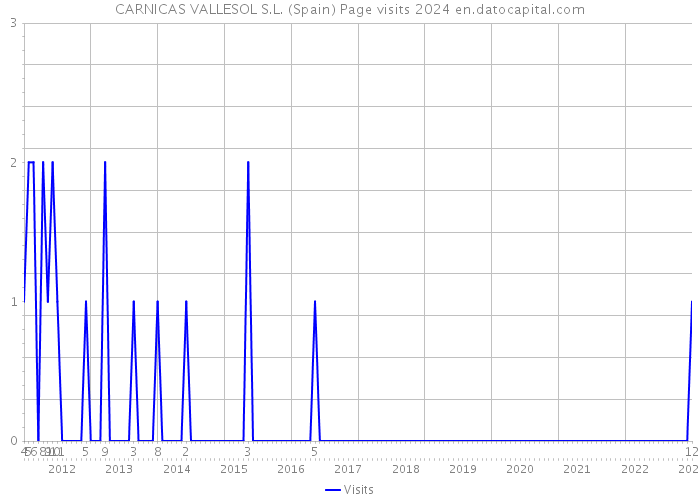 CARNICAS VALLESOL S.L. (Spain) Page visits 2024 