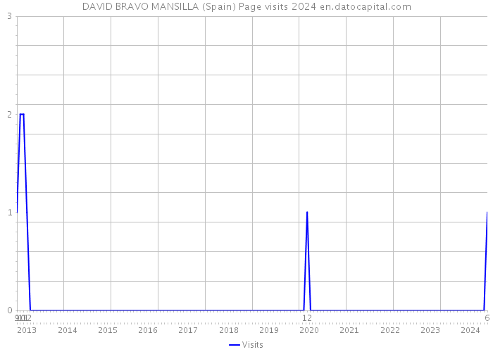 DAVID BRAVO MANSILLA (Spain) Page visits 2024 