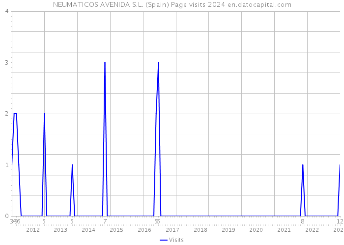 NEUMATICOS AVENIDA S.L. (Spain) Page visits 2024 