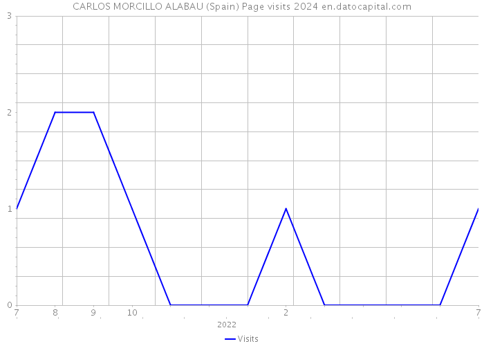 CARLOS MORCILLO ALABAU (Spain) Page visits 2024 