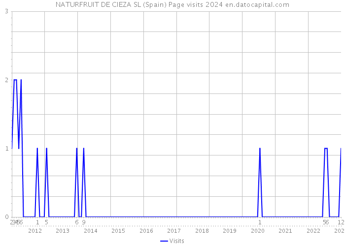 NATURFRUIT DE CIEZA SL (Spain) Page visits 2024 