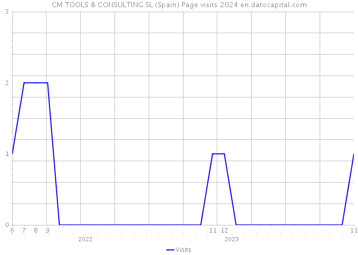 CM TOOLS & CONSULTING SL (Spain) Page visits 2024 