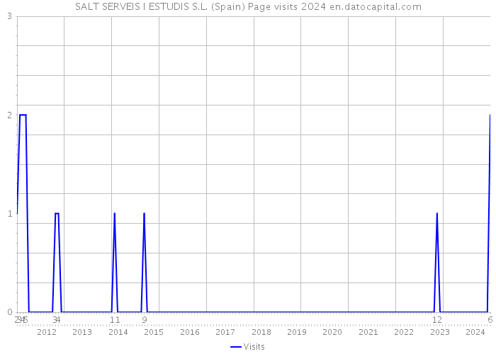 SALT SERVEIS I ESTUDIS S.L. (Spain) Page visits 2024 