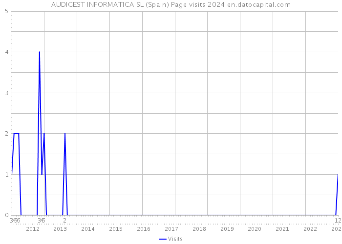 AUDIGEST INFORMATICA SL (Spain) Page visits 2024 
