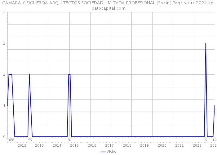 CAMARA Y FIGUEROA ARQUITECTOS SOCIEDAD LIMITADA PROFESIONAL (Spain) Page visits 2024 