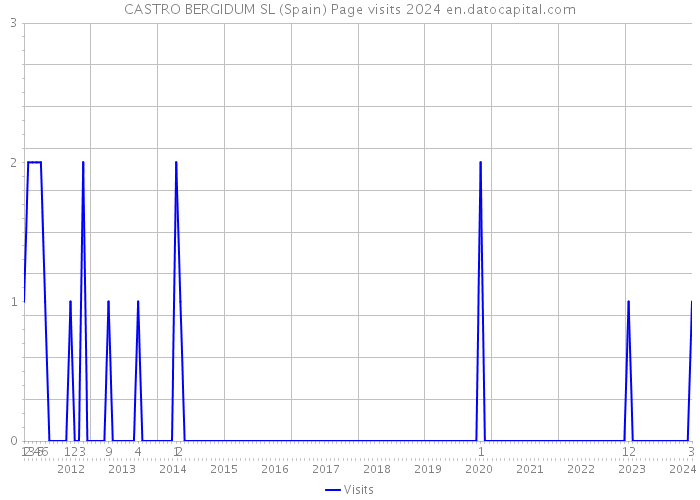 CASTRO BERGIDUM SL (Spain) Page visits 2024 