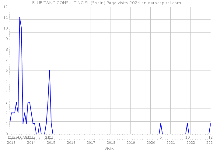BLUE TANG CONSULTING SL (Spain) Page visits 2024 