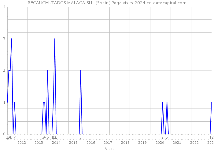 RECAUCHUTADOS MALAGA SLL. (Spain) Page visits 2024 