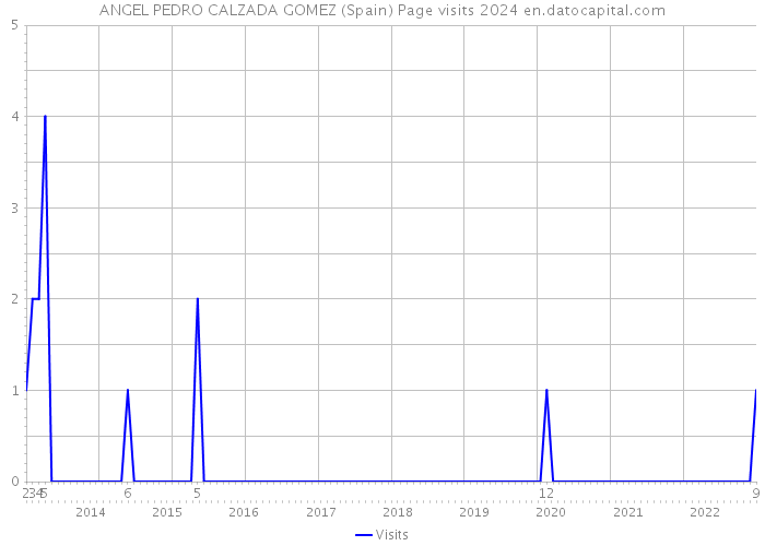 ANGEL PEDRO CALZADA GOMEZ (Spain) Page visits 2024 