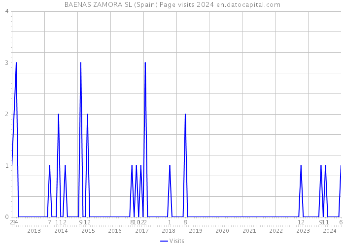 BAENAS ZAMORA SL (Spain) Page visits 2024 