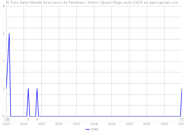 El Turo Salut Mental Associacio de Familiars i Amics (Spain) Page visits 2024 