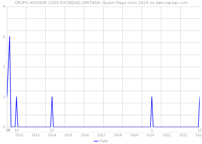 GRUPO ANVISUR 2009 SOCIEDAD LIMITADA (Spain) Page visits 2024 