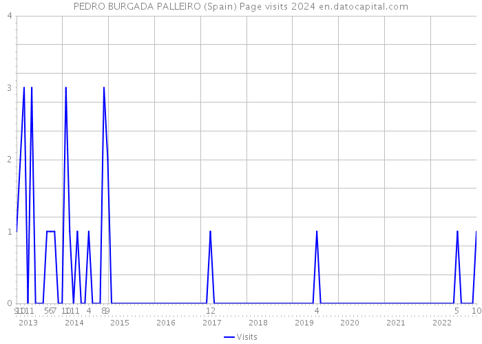 PEDRO BURGADA PALLEIRO (Spain) Page visits 2024 