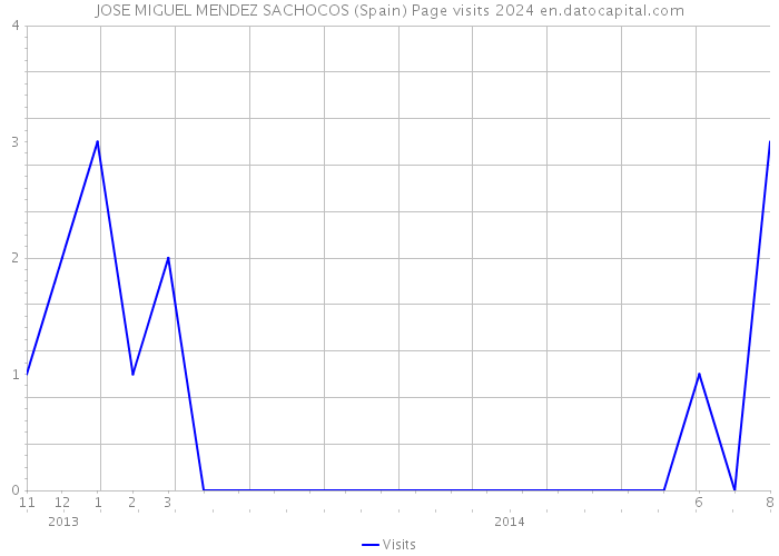 JOSE MIGUEL MENDEZ SACHOCOS (Spain) Page visits 2024 