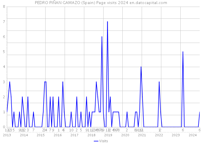 PEDRO PIÑAN GAMAZO (Spain) Page visits 2024 