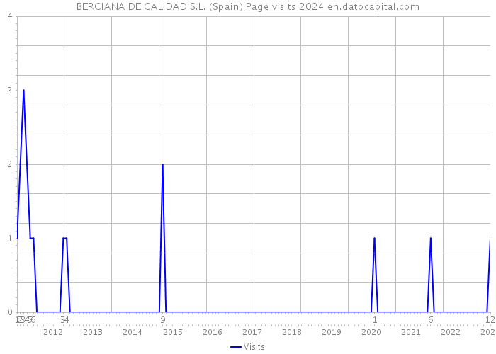 BERCIANA DE CALIDAD S.L. (Spain) Page visits 2024 