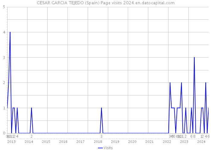 CESAR GARCIA TEJEDO (Spain) Page visits 2024 