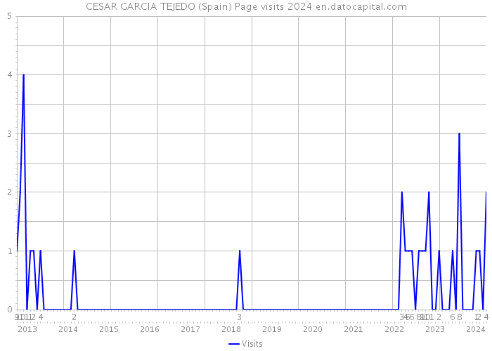 CESAR GARCIA TEJEDO (Spain) Page visits 2024 