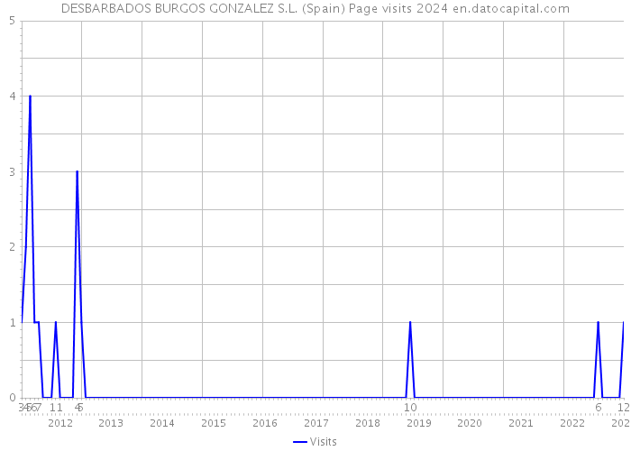 DESBARBADOS BURGOS GONZALEZ S.L. (Spain) Page visits 2024 