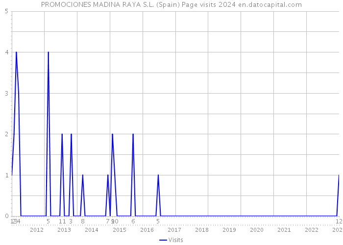 PROMOCIONES MADINA RAYA S.L. (Spain) Page visits 2024 