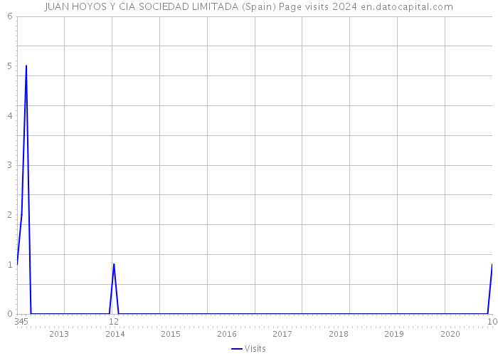 JUAN HOYOS Y CIA SOCIEDAD LIMITADA (Spain) Page visits 2024 