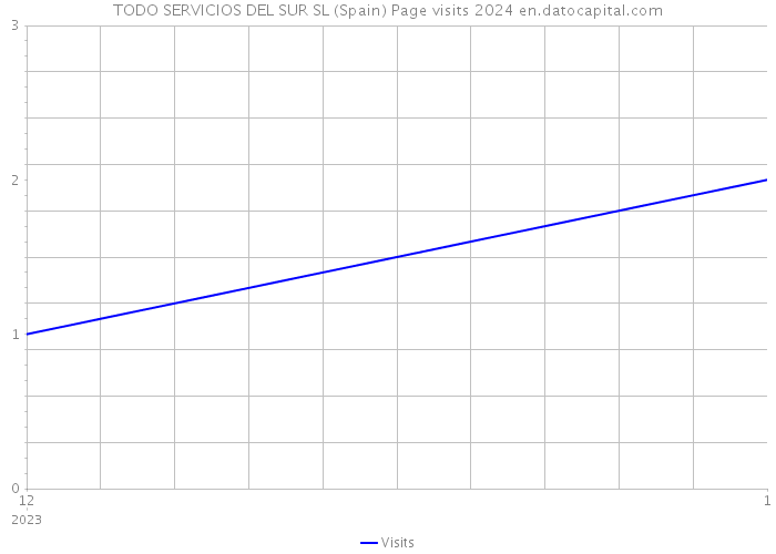 TODO SERVICIOS DEL SUR SL (Spain) Page visits 2024 
