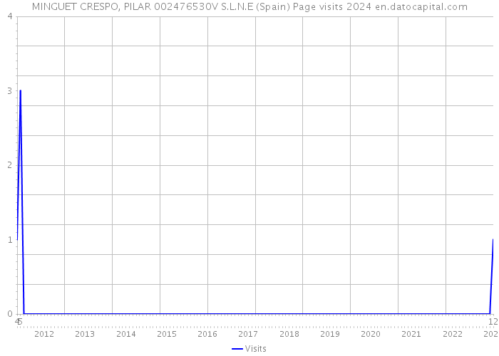 MINGUET CRESPO, PILAR 002476530V S.L.N.E (Spain) Page visits 2024 