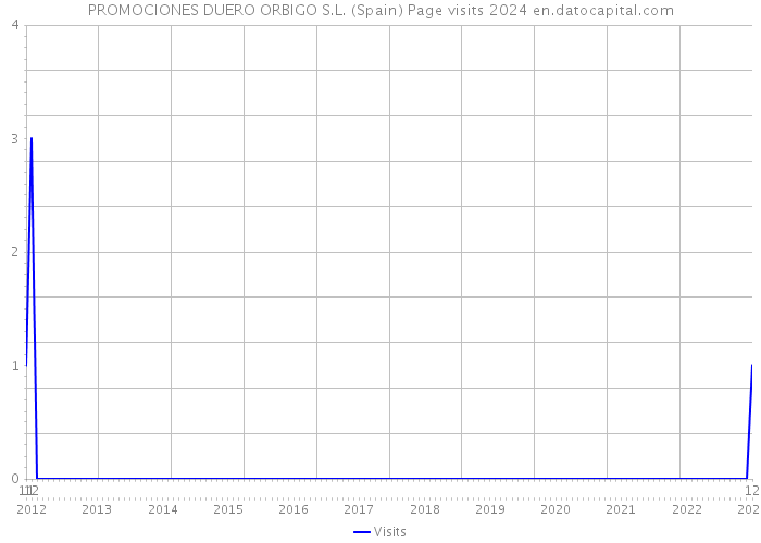 PROMOCIONES DUERO ORBIGO S.L. (Spain) Page visits 2024 