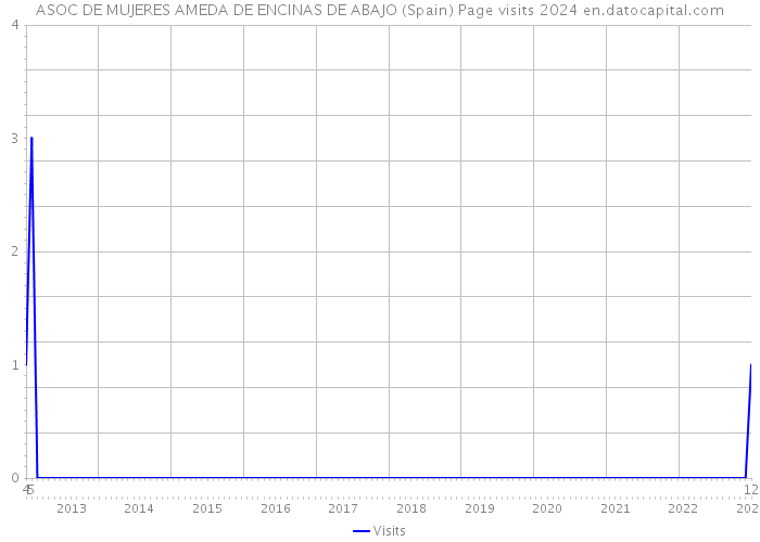 ASOC DE MUJERES AMEDA DE ENCINAS DE ABAJO (Spain) Page visits 2024 