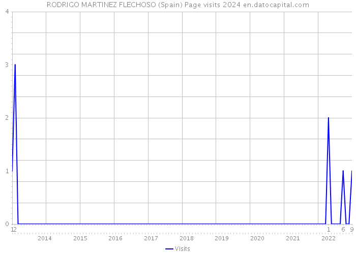 RODRIGO MARTINEZ FLECHOSO (Spain) Page visits 2024 