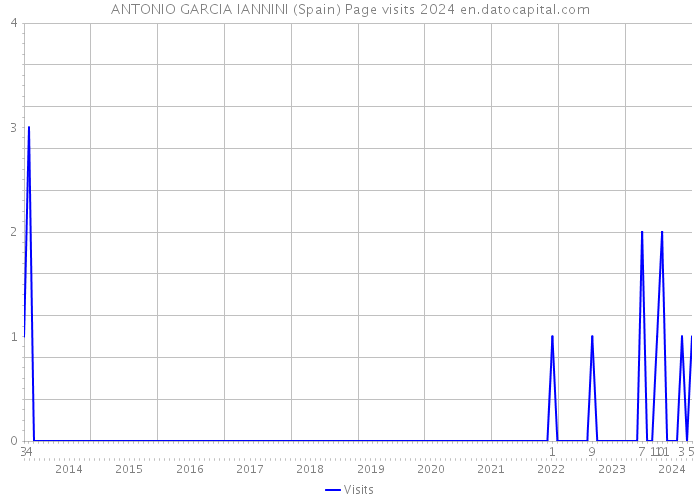 ANTONIO GARCIA IANNINI (Spain) Page visits 2024 
