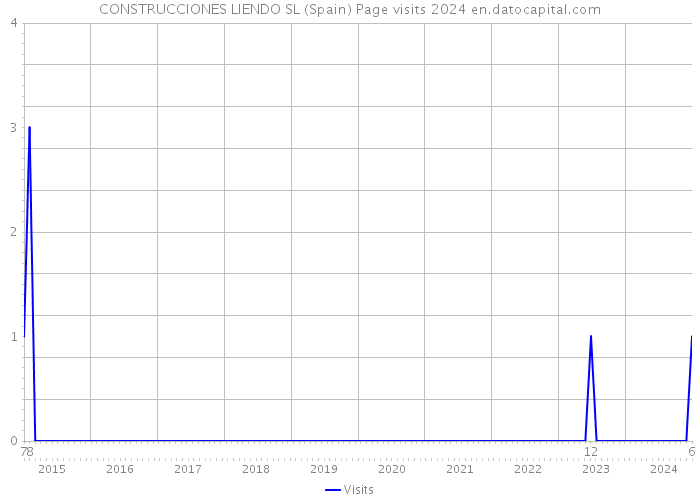CONSTRUCCIONES LIENDO SL (Spain) Page visits 2024 