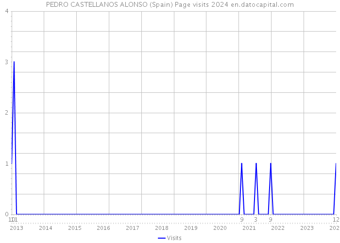 PEDRO CASTELLANOS ALONSO (Spain) Page visits 2024 
