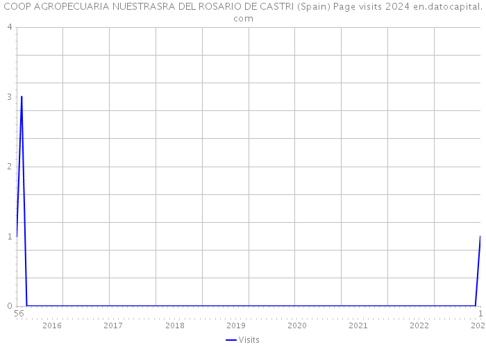 COOP AGROPECUARIA NUESTRASRA DEL ROSARIO DE CASTRI (Spain) Page visits 2024 