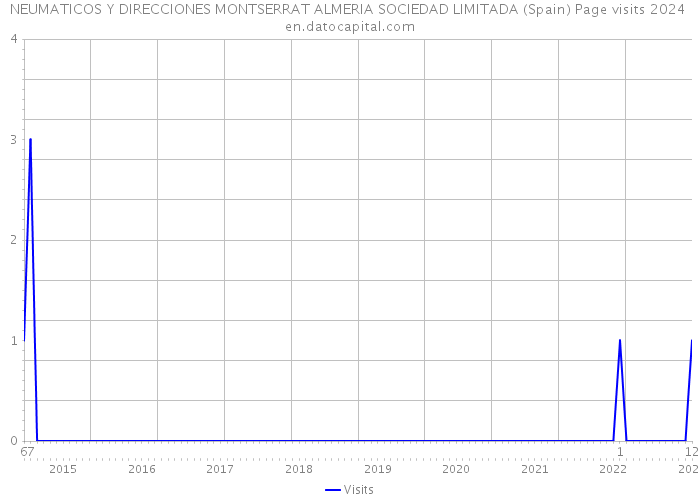 NEUMATICOS Y DIRECCIONES MONTSERRAT ALMERIA SOCIEDAD LIMITADA (Spain) Page visits 2024 