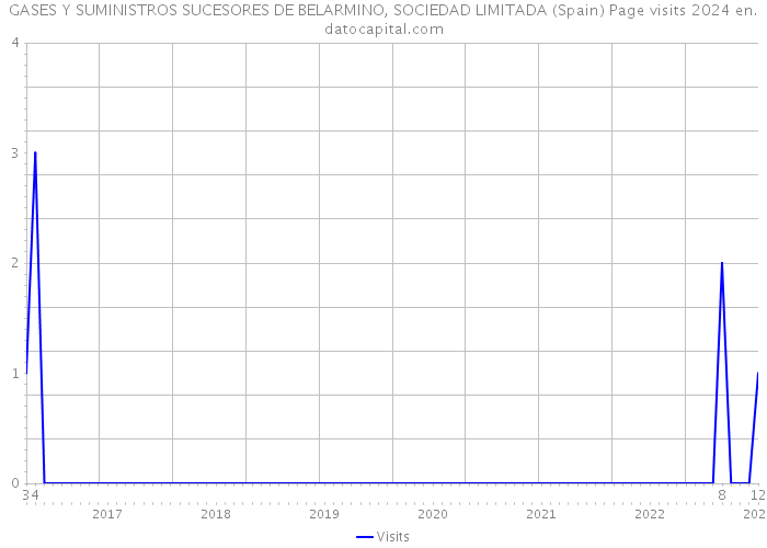 GASES Y SUMINISTROS SUCESORES DE BELARMINO, SOCIEDAD LIMITADA (Spain) Page visits 2024 