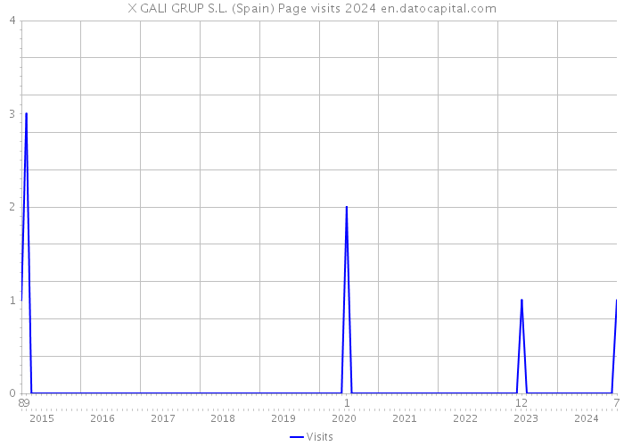 X GALI GRUP S.L. (Spain) Page visits 2024 