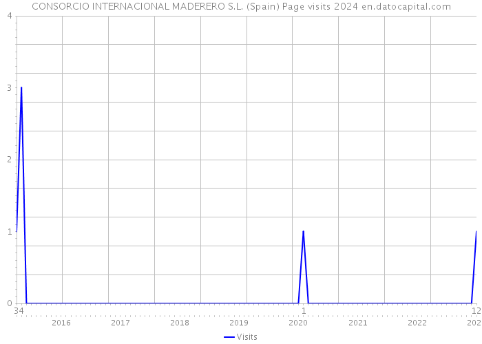 CONSORCIO INTERNACIONAL MADERERO S.L. (Spain) Page visits 2024 