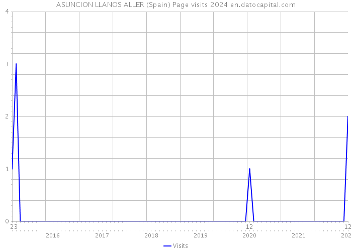 ASUNCION LLANOS ALLER (Spain) Page visits 2024 