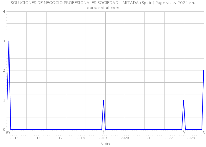 SOLUCIONES DE NEGOCIO PROFESIONALES SOCIEDAD LIMITADA (Spain) Page visits 2024 