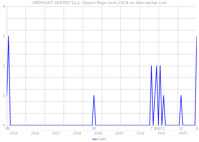 MEDIASAT GASTEIZ S.L.L. (Spain) Page visits 2024 