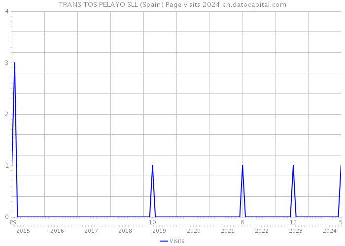 TRANSITOS PELAYO SLL (Spain) Page visits 2024 