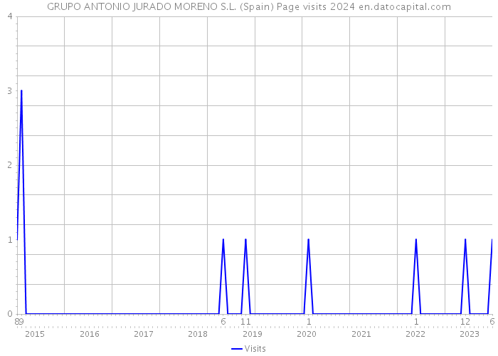 GRUPO ANTONIO JURADO MORENO S.L. (Spain) Page visits 2024 
