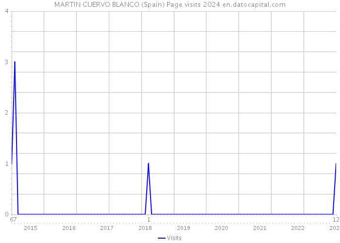 MARTIN CUERVO BLANCO (Spain) Page visits 2024 