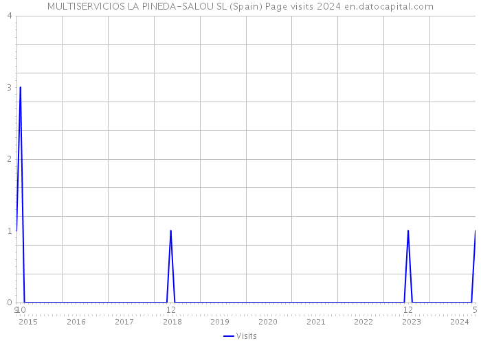 MULTISERVICIOS LA PINEDA-SALOU SL (Spain) Page visits 2024 