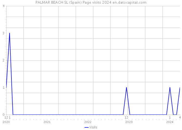 PALMAR BEACH SL (Spain) Page visits 2024 