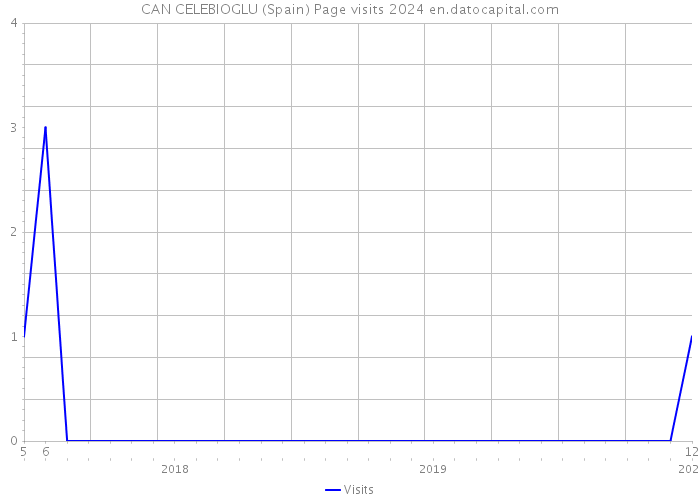 CAN CELEBIOGLU (Spain) Page visits 2024 