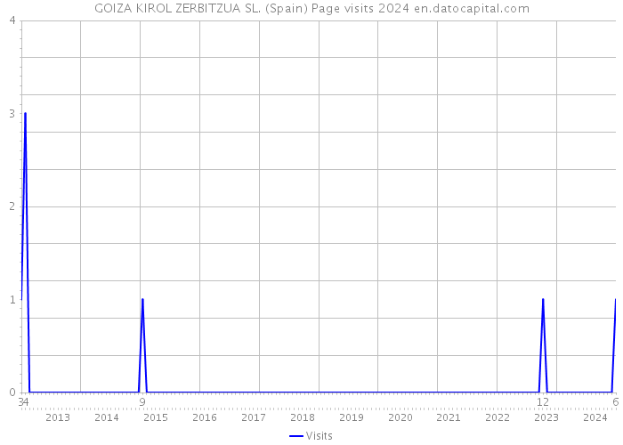 GOIZA KIROL ZERBITZUA SL. (Spain) Page visits 2024 