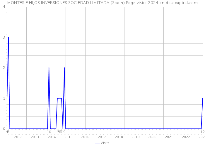 MONTES E HIJOS INVERSIONES SOCIEDAD LIMITADA (Spain) Page visits 2024 